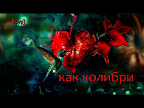 Видео: Aiwy[λwy] - Колибри(original)