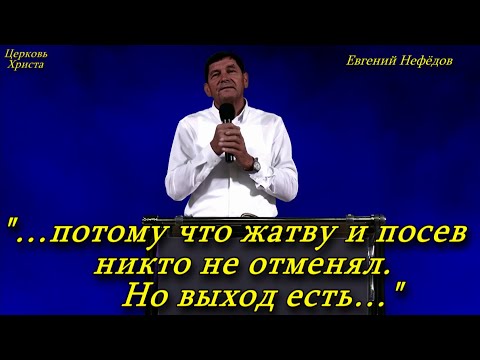 Видео: "…потому что жатву и посев никто не отменял. Но выход есть…" 27-10-2024 Евгений Нефёдов