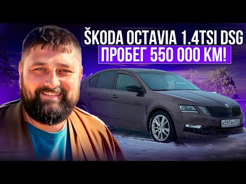 Видео: Для нее 550 000 км не пробег! SKODA OCTAVIA A7FL 1.4 TSI DSG