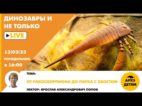 Видео: Занятие "От ракоскорпиона до паука с хвостом" кружка "Динозавры и не только" с Ярославом Поповым