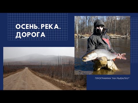 Видео: Осень. Река. Дорога.