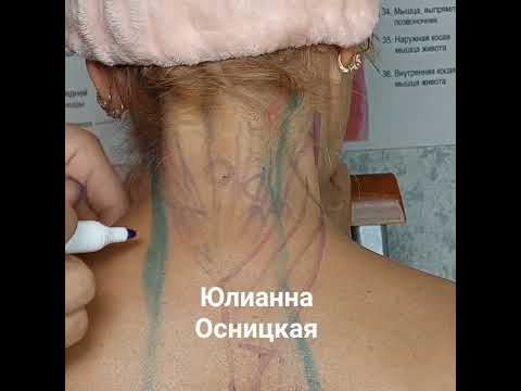 Видео: РЕМЕННЫЕ МЫШЦЫ