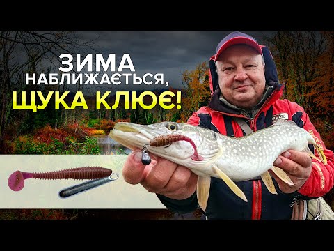 Видео: Ставкова щука в холодній воді. Все вирішує дистанція! Спінінг та приманка на щуку восени та взимку