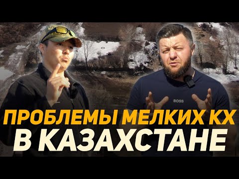 Видео: Проблемы мелких фермеров и КХ в Казахстане! Обращение к министру сельского хозяйства  Казахстана!