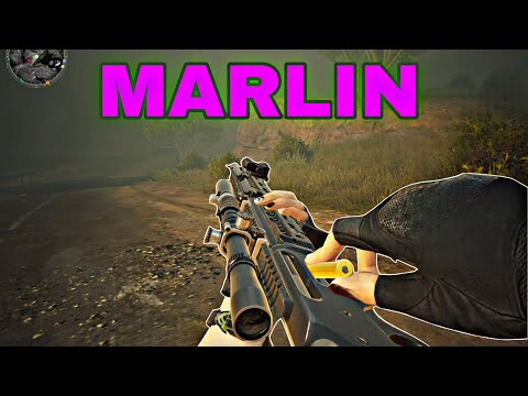 Видео: Роща лайяли с рандомами