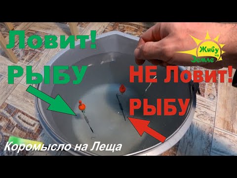 Видео: Зимнее Коромысло. Ошибка в Оснащении При Ловле Леща