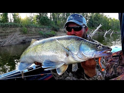 Видео: ИСКАЛИ И НАШЛИ ТРОФЕЙ В КОРЯГАХ!!! Рыбалка на Оби, джиг, щука,судак,окунь.