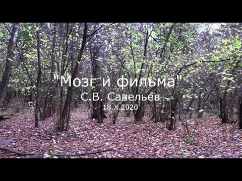 Видео: С.В. Савельев - Мозг и фильма