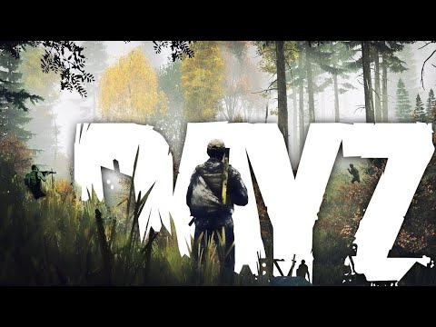 Видео: DAYZ 1.19 ВЫЖИВАНИЕ #2 | Берег дом родной | Чернорусь NFR