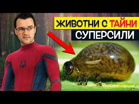 Видео: Топ 10 невероятни СУПЕРСИЛИ, които животните ПРИТЕЖАВАТ