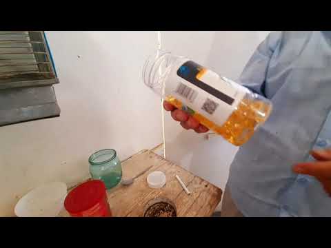 Видео: трайник канарейкалар хакида малумот Набижон устоз кушлари