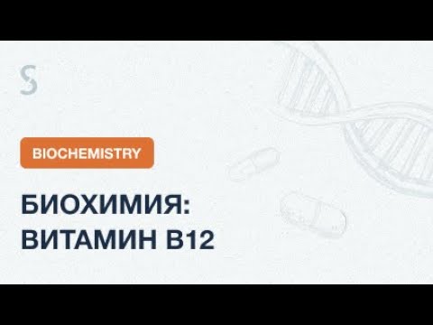 Видео: USMLE Step 1 - Биохимия: Витамин В12 | Тест Шиллинга