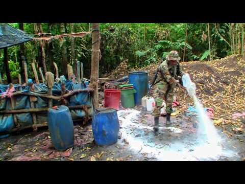 Видео: Боливия: новое Эльдорадо торговцев людьми