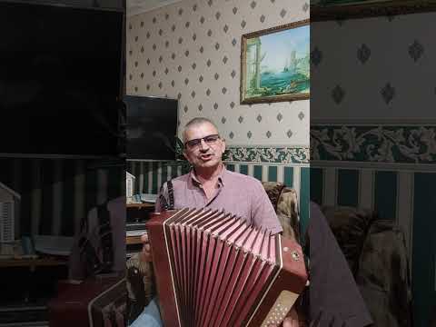 Видео: За окошком снегири греют куст рябиновый