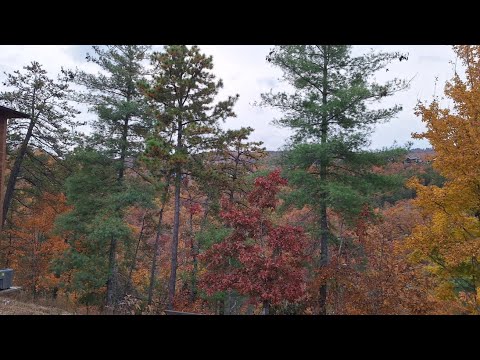 Видео: Невероятная Красота - так выглядят Гостиницы в горах штата ТЕННЕССИ,  Природа в горах - восторг 🙂
