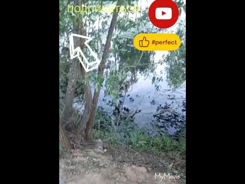 Видео: Куми лаби дарёра шамол овардай ин токий кулобира ёр овардай