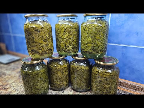 Видео: Консервированный щавель на зиму, самый простой рецепт