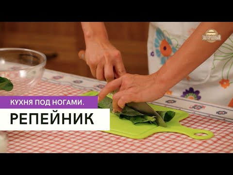 Видео: Репейник \ Кухня под ногами