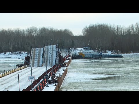 Видео: "Будни" (новости, 13.11.24г., Бийское телевидение)