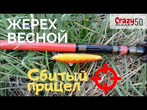 Видео: Жерех весной. Сбитый прицел