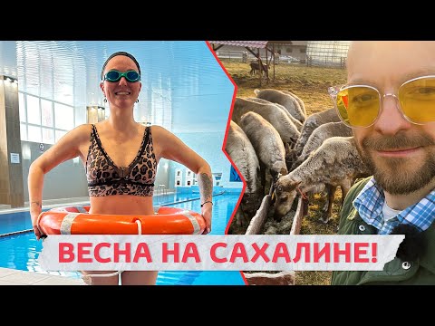 Видео: Топ лучших мест на Сахалине весной. Чем заняться в межсезонье?