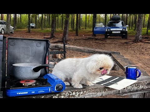 Видео: Ночь под Хельсинки, спина болит, но едем к озеру Саймаа — самому большому в Финляндии, 4 серия🙄