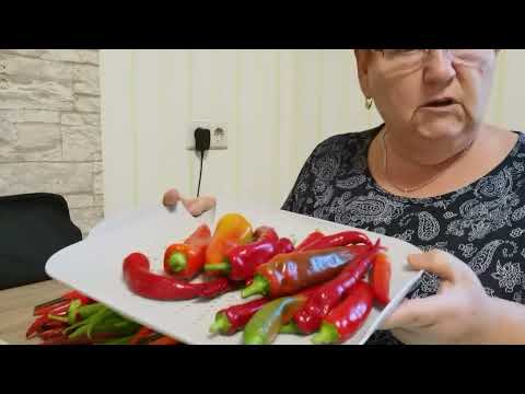 Видео: ЯБЛОЧНЫЙ УКСУС ДЕЛАЮ ДОМА! МАРИНУЮ ОСТРЫЙ ПЕРЕЦ!🌶️ | #1056