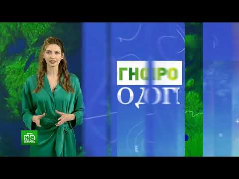 Видео: Погода (НТВ-Беларусь-HD, 23.02.2023, YouTube)