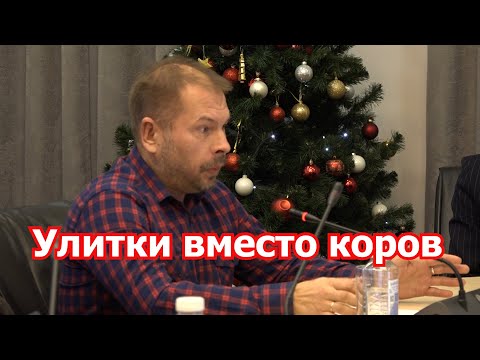 Видео: Улитки вместо говядины?