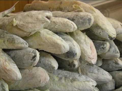 Видео: На Сахалине начался сезон наваги.