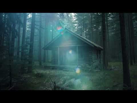 Видео: ЗАИМКА| ТАЕЖНАЯ ИСТОРИЯ