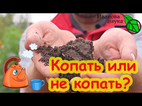 Видео: КОПАТЬ или НЕ КОПАТЬ ЗЕМЛЮ? Что происходит с почвой, когда ее перекапывают.