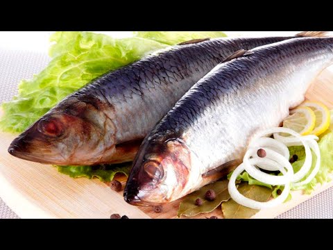 Видео: Как правильно хранить селедку в холодильнике. Чтоб она была свежей и холодильник не вонял