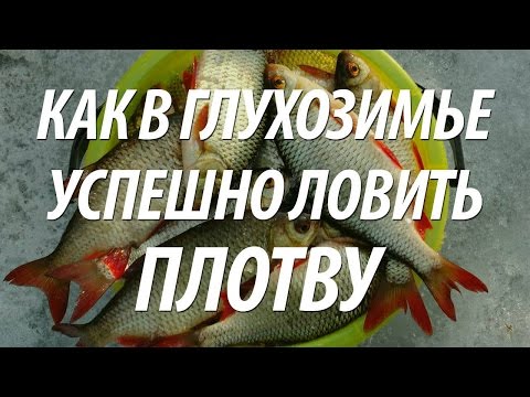 Видео: ЛОВЛЯ ПЛОТВЫ ЗИМОЙ В ГЛУХОЗИМЬЕ - СОВЕТЫ РЫБАКАМ