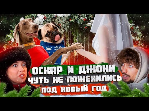 Видео: ОСКАР И ДЖОНИ ЧУТЬ НЕ ЖЕНИЛИСЬ ПЕРЕД НОВЫМ ГОДОМ ❤️