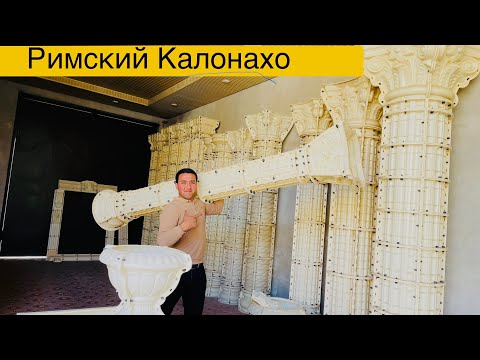 Видео: Акнун Бизнеси нав Римский калона дар Точикистон