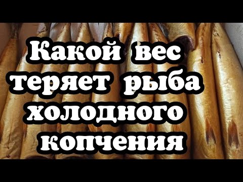 Видео: Копчение как бизнес. Какие утери веса в рыбе холодного копчения? Можно ли заработать.