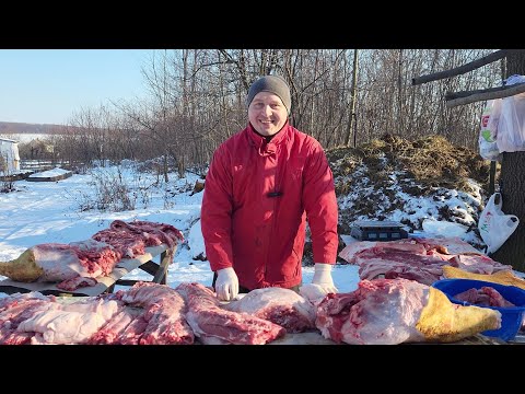 Видео: ✅ Скільки можна заробити на свині 🐷🥩❓200 кг м'яса 🐷яка конверсія корму ❓