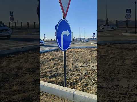 Видео: 14 января 2025 г.
