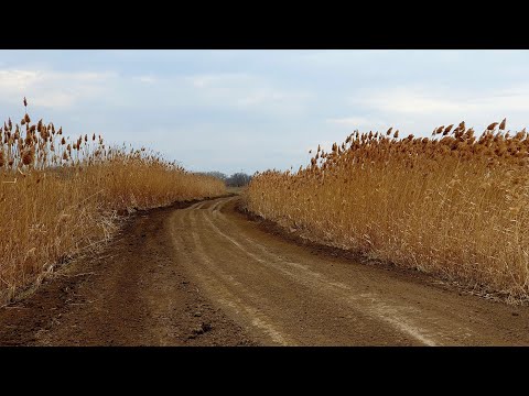 Видео: Эквинокс 900 против  XP Deus 2 - ничья