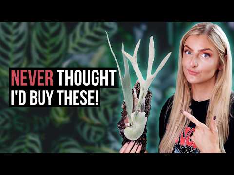 Видео: Эти новые растения — не то, что вы думаете...