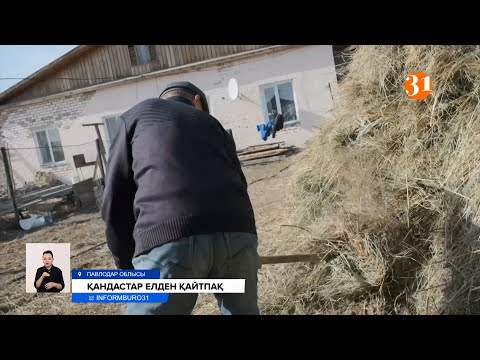 Видео: «Биліктің сөзіне алданып қалдық». Моңғолия, Өзбекстаннан келген қандастар енді кері қайтпақ