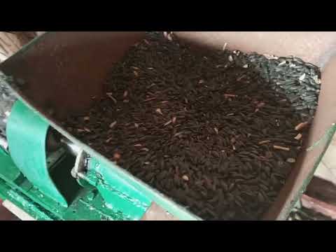 Видео: СКОЛЬКО МАСЛА ИЗ ПЯТИ МЕШКОВ СЕМЕЧЕК? КАКЯ ПРИБЫЛЬ?