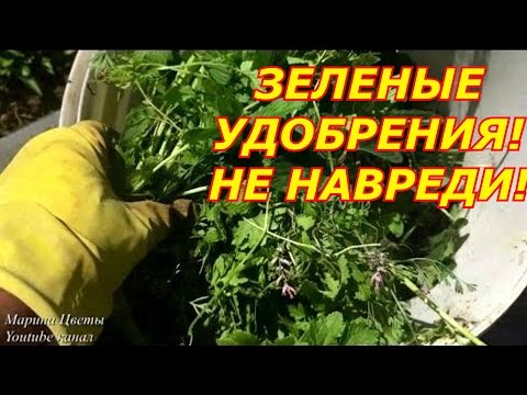 Видео: Зеленые удобрения . Не навреди , минус зола .