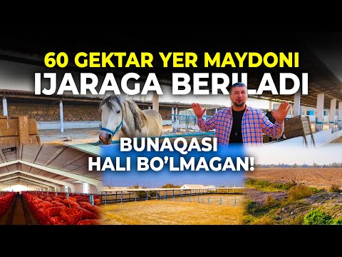 Видео: БУНАҚАСИ ХАЛИ БУЛМАГАН ! ХАММА ШАРОИТГА ЭГА 60 Гектар Ер майдони ИЖАРАГА БЕРИЛАДИ