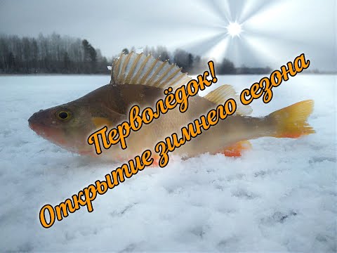 Видео: ОТКРЫТИЕ ЗИМНЕГО СЕЗОНА