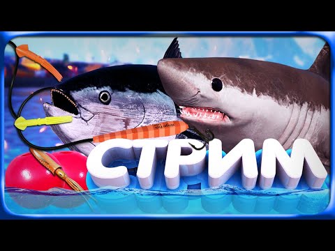 Видео: РР4 СТРИМ • ТРОЛЛИНГ на НОРВЕЖСКОМ МОРЕ после РАЗМИНКИ с РЕКОРДНОЙ ГИГОЙ!