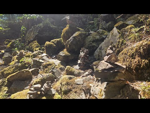 Видео: ПОХОД БЕЗ ДЕНЕГ- у нас все получилось. РОЗА ХУТОР- КУДА СХОДИТЬ?