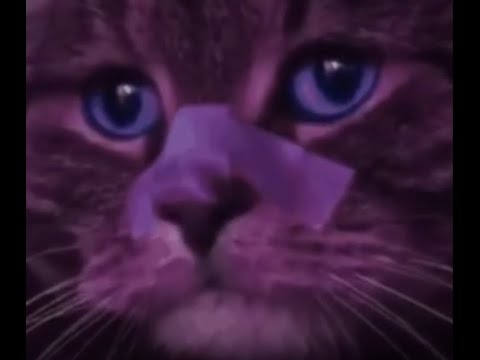Видео: Заказной стрим №2 от @thekekss пробую разобраться в GAMMA | !1080 | подкиньте деньжат