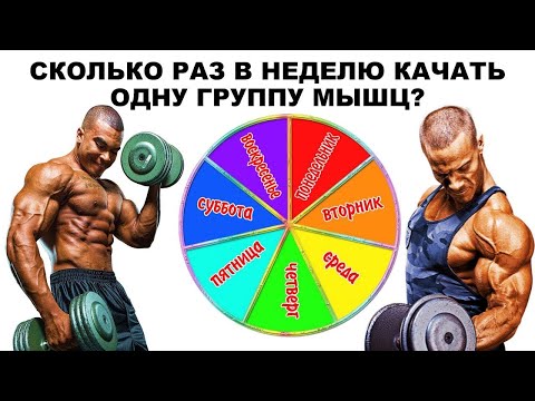 Видео: Тренировка Мышцы 1 раз в Неделю 2 или 3 Андрей Замятин и Стефан Диас
